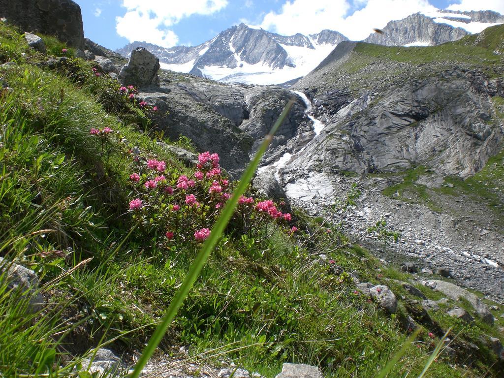 Garni Erler Hotel Mayrhofen